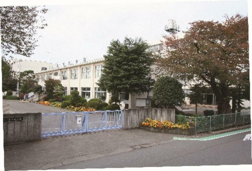 藤沢中学校　約950m