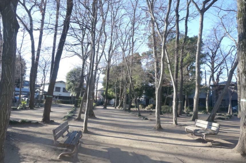 公園 鎌倉公園