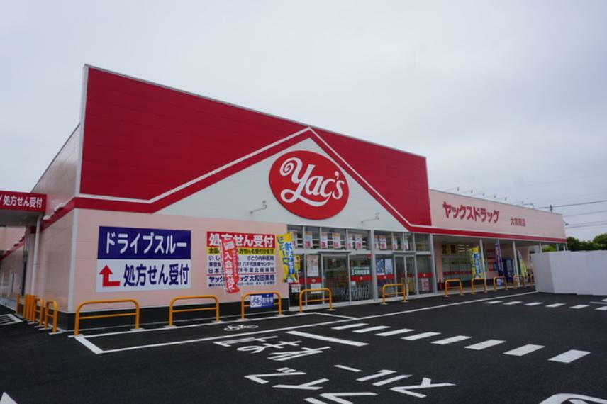 ドラッグストア （ヤックスドラック大和田店）徒歩13分