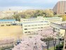 小学校 堺市立若松台小学校