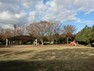 公園 金井公園