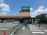スーパー 食品館あおば 下末吉店 営業時間 10時～20時　横浜・川崎を中心に店舗展開する食品専門スーパーで、新鮮で高品質な食材が豊富に揃っています。