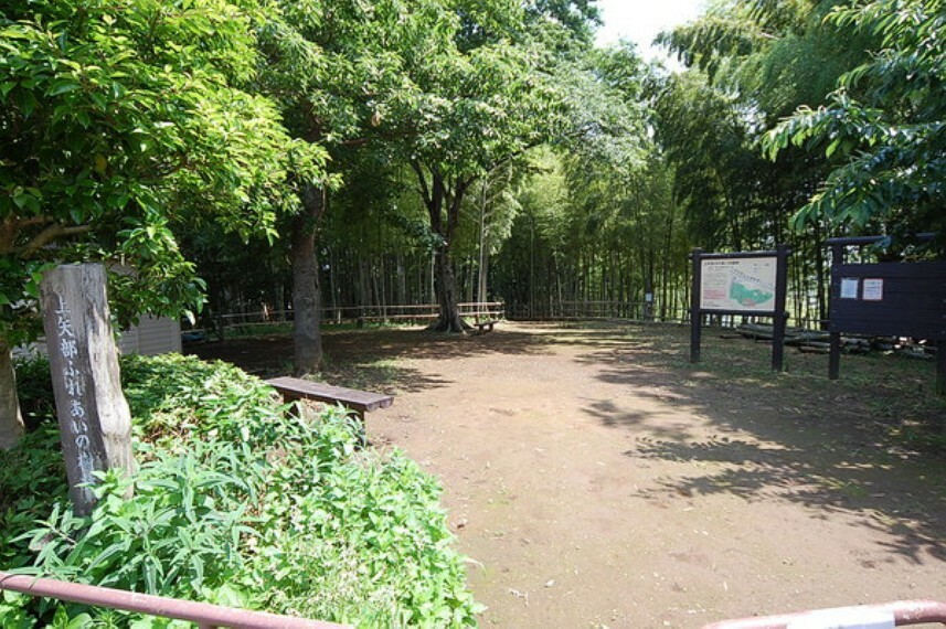 公園 上矢部ふれあい樹林 自然を感じながら歩く散歩道としてみなさん使われています。