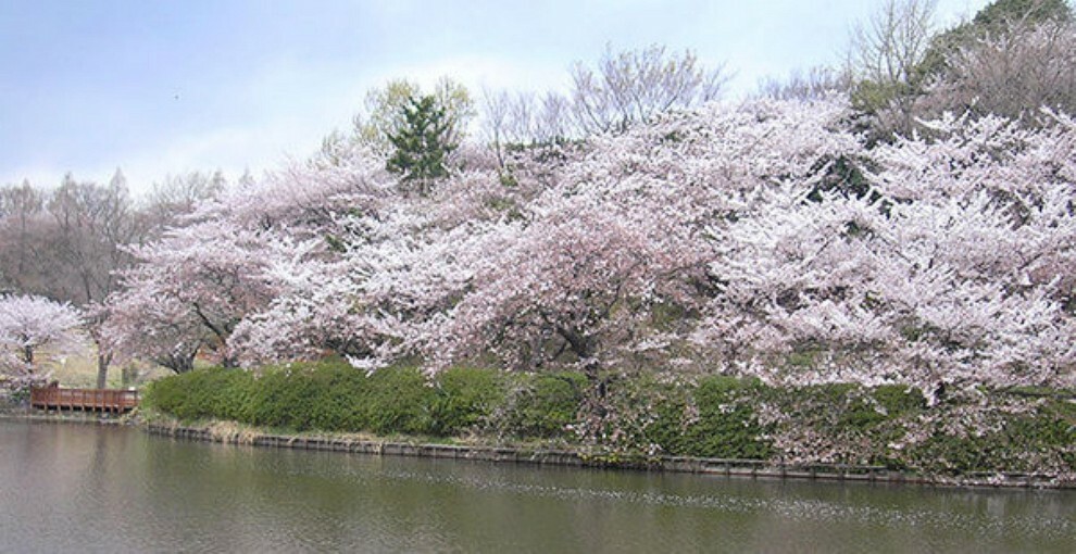 公園 神奈川県立三ッ池公園