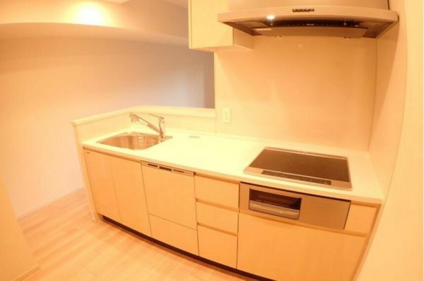 キッチン ディスポーザー・食洗機付きで収納力のあるシステムキッチンです！