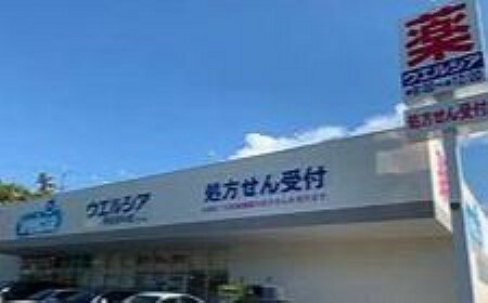 ドラッグストア ウエルシア堺泉田中店