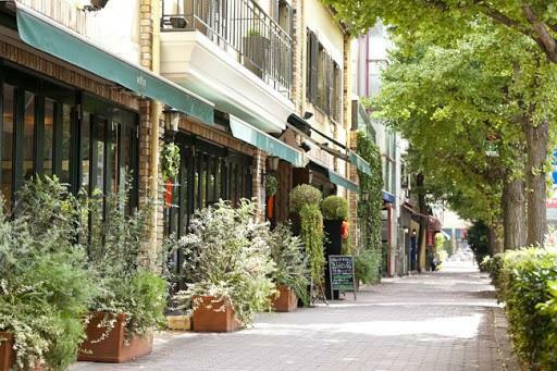 周辺の街並み 美しいイチョウ並木が伸び、カフェ・レストラン・ショップが軒を連ねる「プラチナ通り」