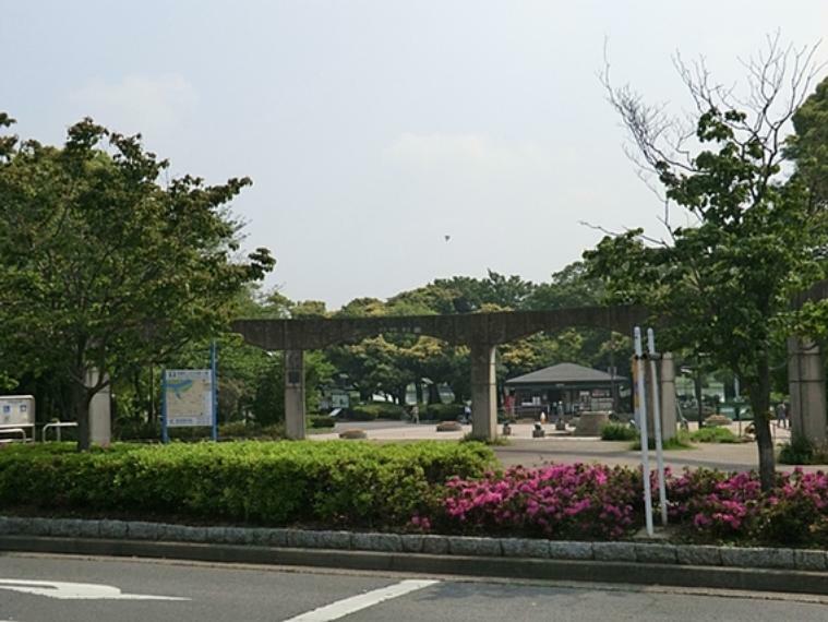公園 都内最大規模の菖蒲田もあり、「東京の水郷」と呼ばれています。