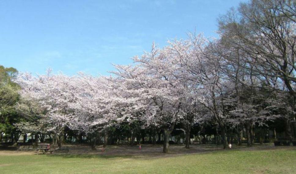 公園 【公園】行田市総合公園まで1130m