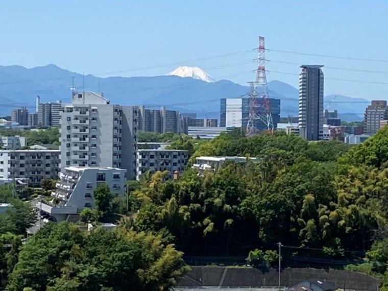 眺望 天候次第で富士山が望めます