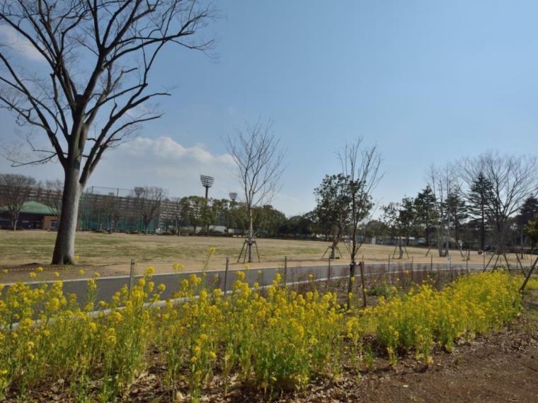 公園 金井公園（恵まれた自然環境を有する公園。スポーツ施設もありますが散策するだけでも充分楽しめます。）