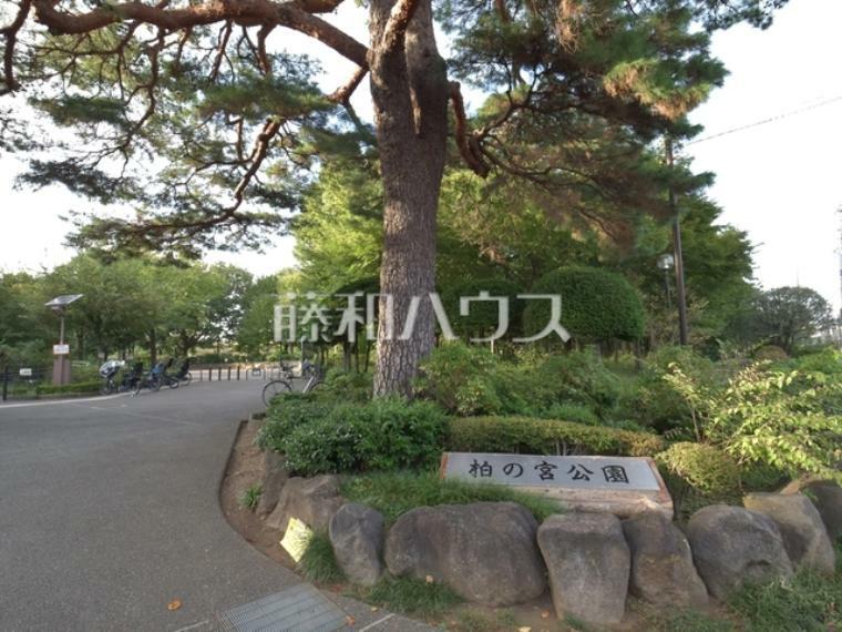 公園 杉並区立柏の宮公園