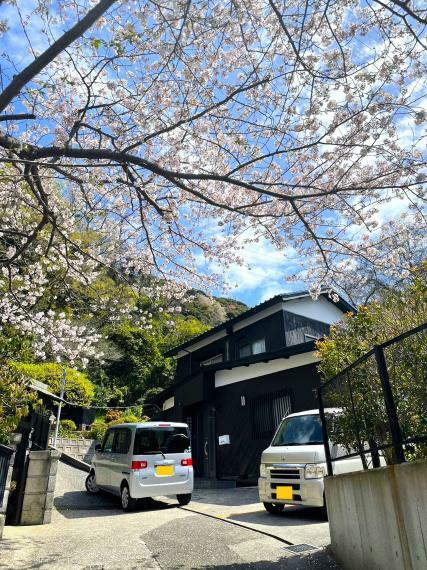 外観写真 天空の家…春は桜が咲き誇ります。