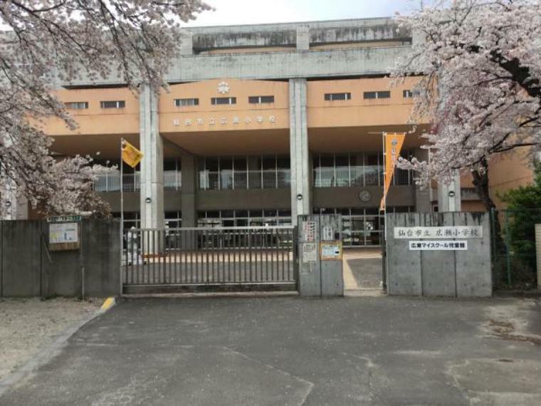 小学校 仙台市立広瀬小学校 約230m