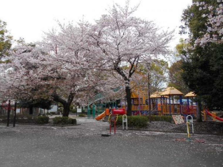 公園 東柏ケ谷近隣公園1048m