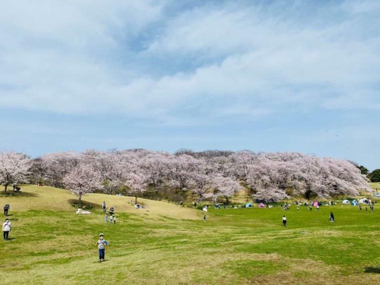 目の前には『根岸森林公園』が広がっており、緑にあふれた環境です。春の桜シーズンはお花見に最適なロケーションです。