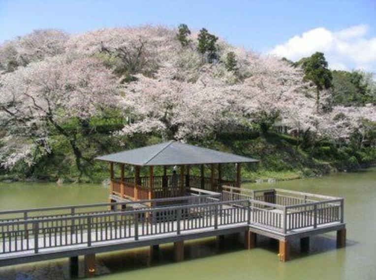 公園 桜の名称で知られる船越堤一帯の自然を生かした総合公園。無料駐車場80台（普通車のみ）イベント広場、トリム広場、天文台などあり。対象年齢/幼児・小学生～大人まで、幅広い年齢層の方が楽しめる公園です。