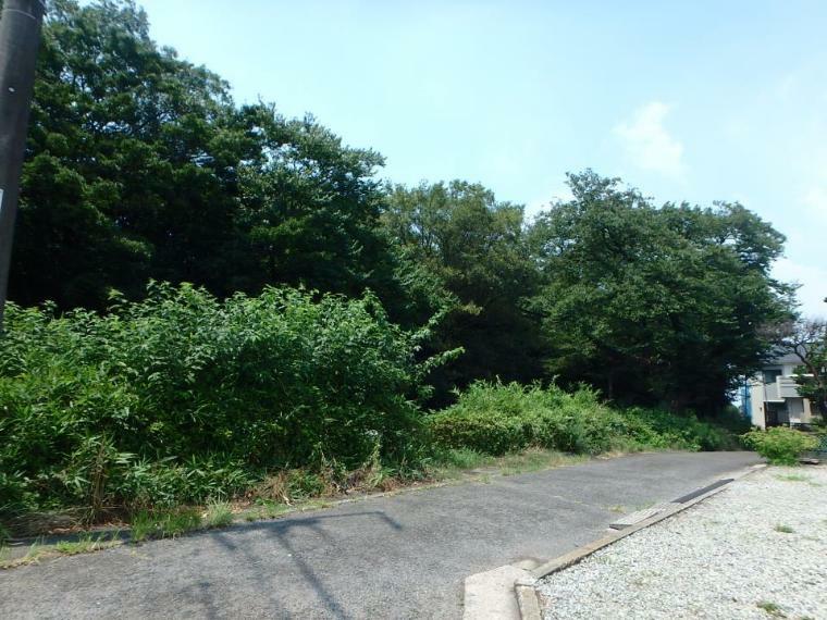 公園 今宿東公園（ふるさと尾根道緑道に隣接した広大な緑地を利用した公園。）