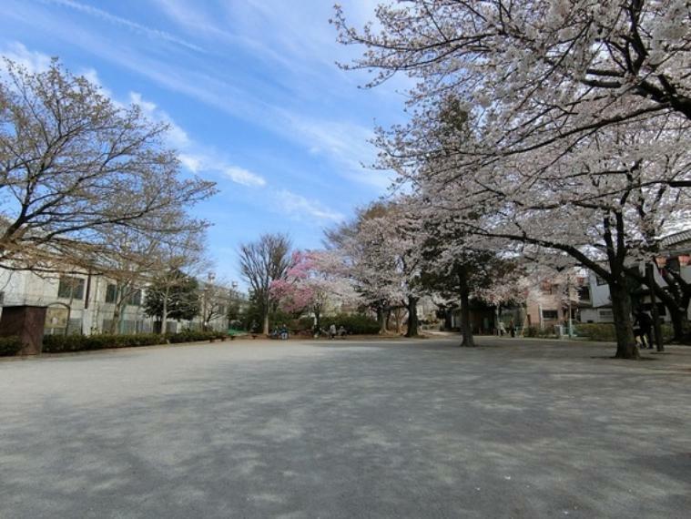 公園