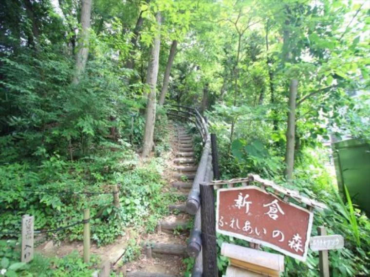 公園 【公園】新倉ふれあいの森まで220m