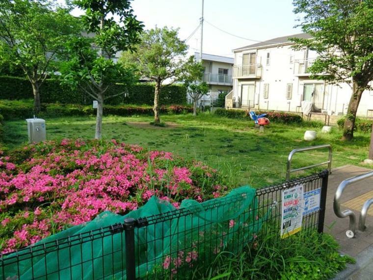 周辺環境 桜三丁目公園