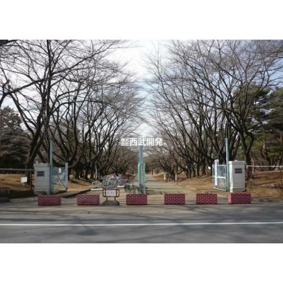 公園 稲荷山公園