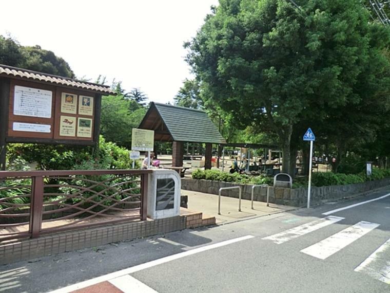 公園 妙正寺公園