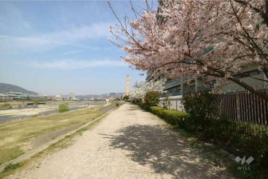 現況写真 敷地西側の武庫川沿いの遊歩道