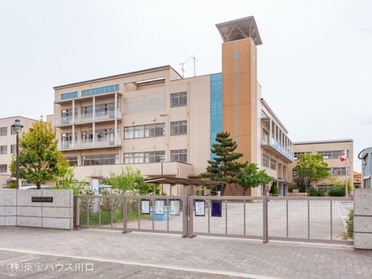 小学校 草加市立西町小学校 420m