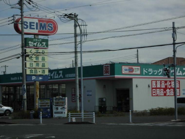 ドラッグストア ドラッグセイムス木更津岩根店