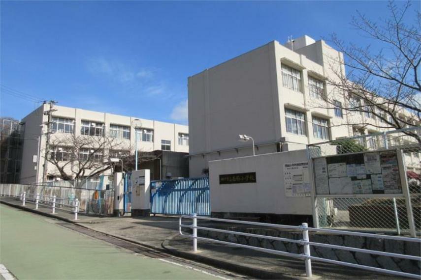 小学校 西脇市立西脇小学校