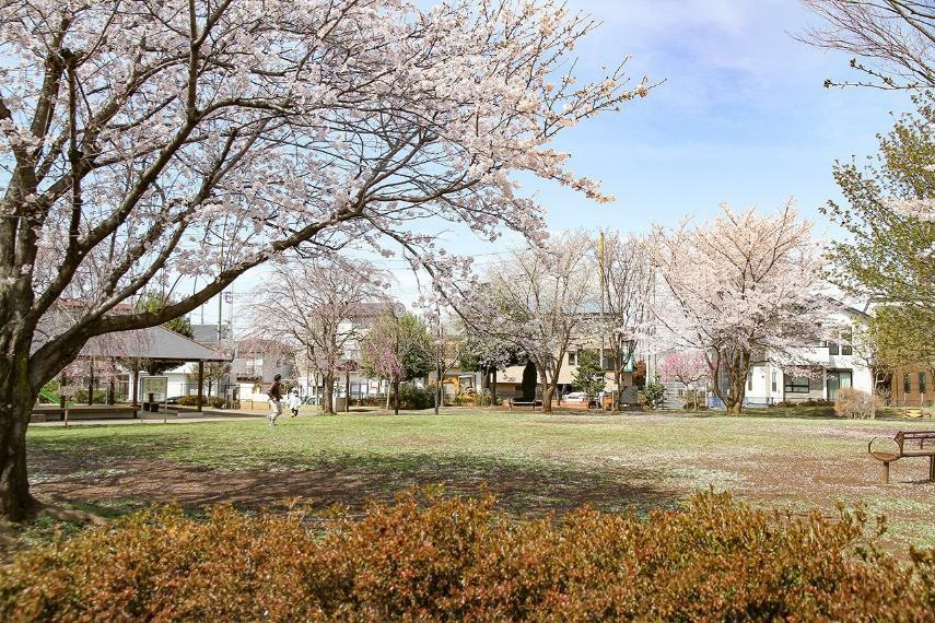現況写真 住まいのすぐ隣にある「久保新田さくら公園」は、遊具やあずま屋もあり、お子さまとの日常のふれあいにピッタリ。
