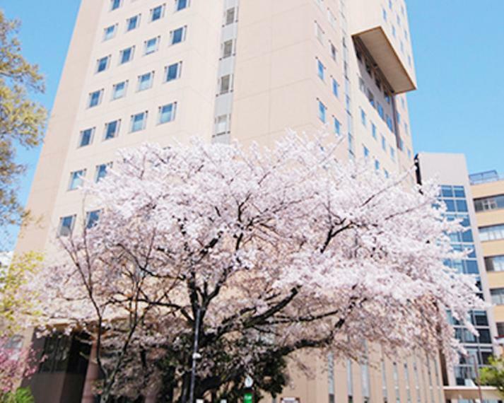 【大学】日本女子大学 目白キャンパスまで298m