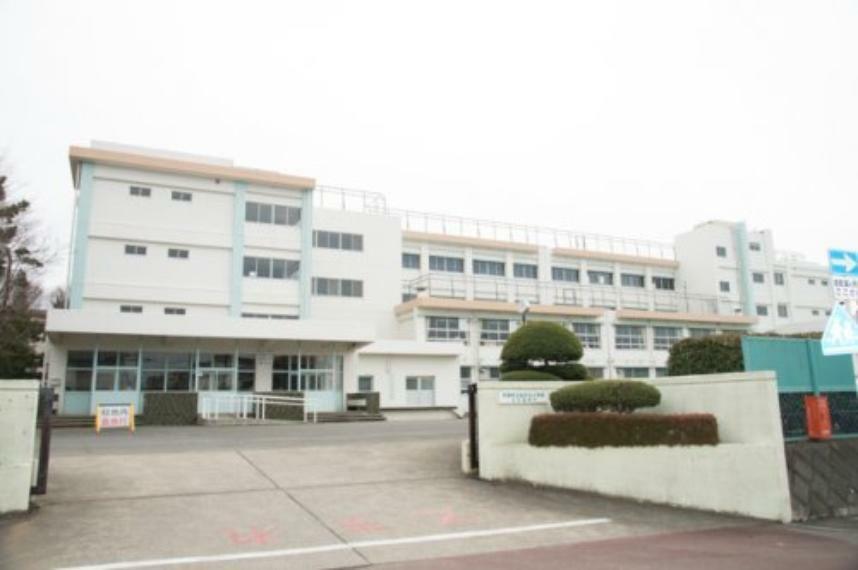 小学校 【小学校】平塚市立　松が丘小学校まで719m
