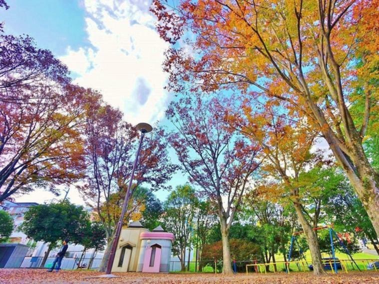 公園 南生田公園　距離約300m