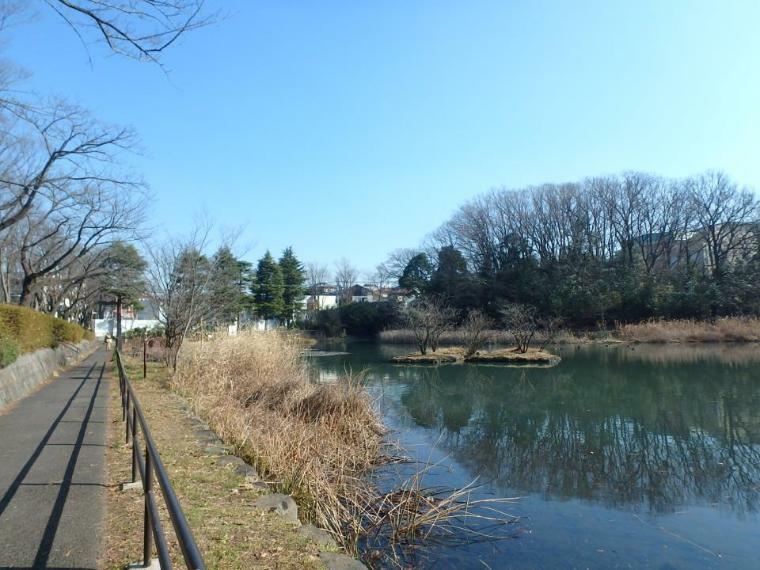 公園 もえぎ野公園（青葉区で一番大きい池があるのどかな雰囲気の公園。池を横断するデッキは、時々カモが一休みしています。 ）