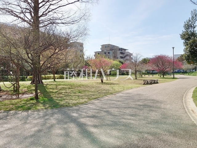 公園 杉並区立桃井原っぱ公園