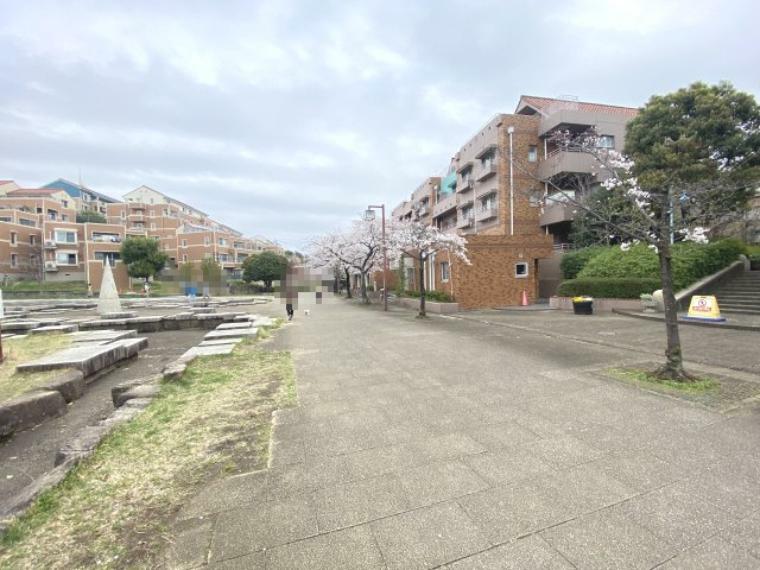 南大沢駅まで続く桜並木の遊歩道　車に合わずに移動できます