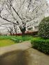中庭 春には共用部の桜がキレイに咲きます。建物のモデルハウスのご見学予約もスタートしました。当日のご見学予約も大歓迎ですので、お気軽にお問合せください。
