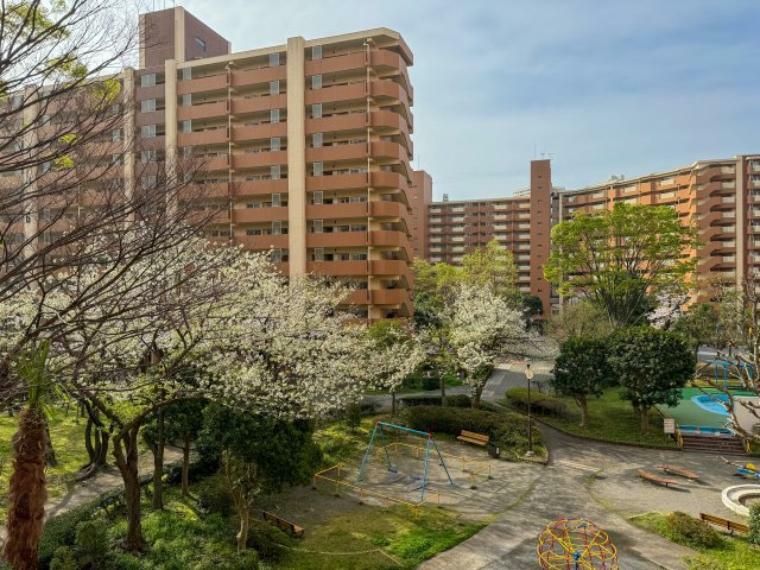 眺望 春には、リビングから敷地内の桜が鑑賞できます。