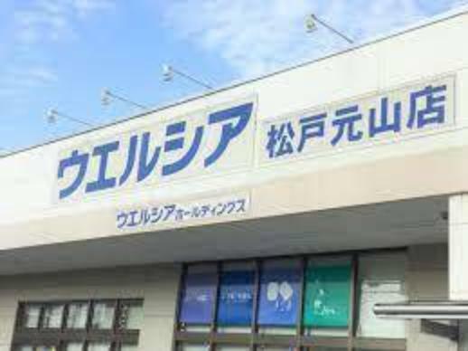 ドラッグストア ウエルシア松戸元山店