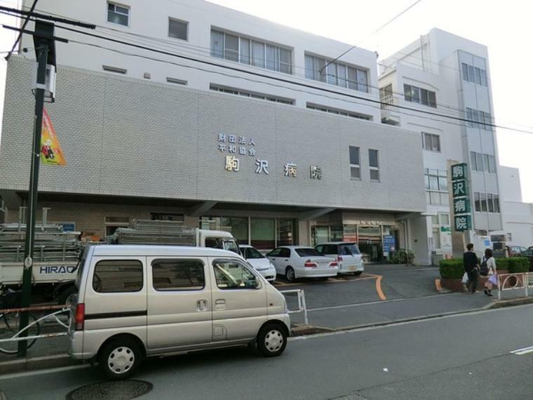 周辺環境 周辺環境:駒沢病院