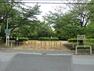 公園 【新松戸中央公園】　松戸市の「新松戸市民センター」のすぐそばにある公園です。比較的大きな公園で、自然も多く、昆虫や植物なども生息しています