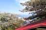 眺望 春には満開の桜の隙間から相模湾と熱海の街並みを見下ろします