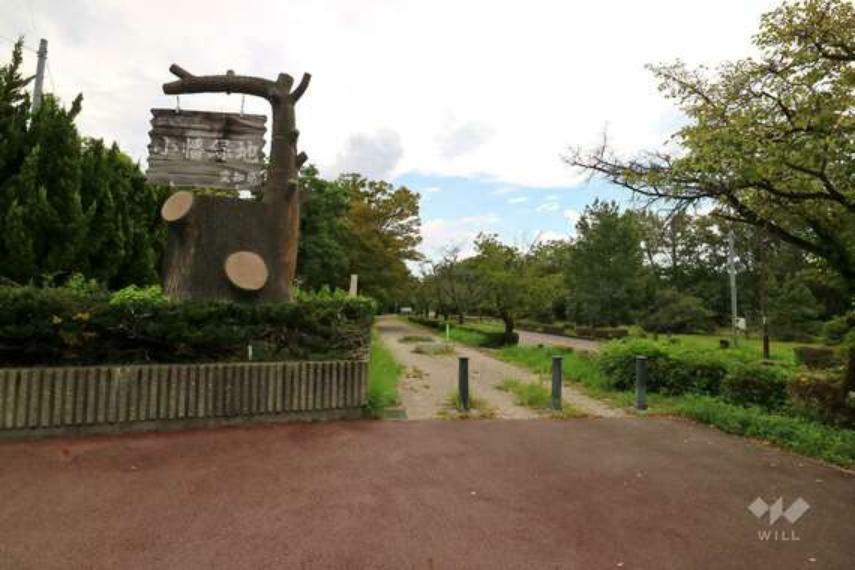 小幡緑地（本園・中央園）の外観