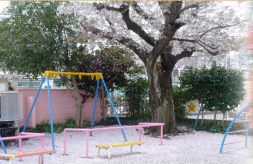 幼稚園・保育園 花園幼稚園