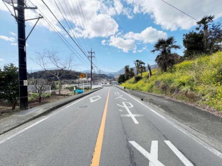 現況写真 前面道路です。ぜひ周辺環境も併せてご覧ください。