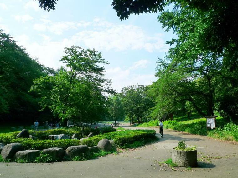 三ツ池公園（池や森のある広大な敷地にプール、テニスコートなどの施設が点在する県立公園。）