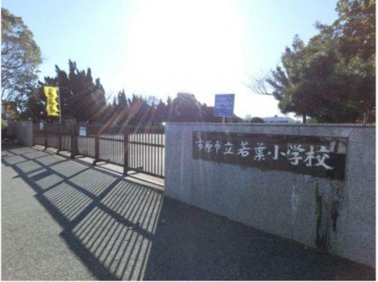 小学校 市原市立若葉小学校