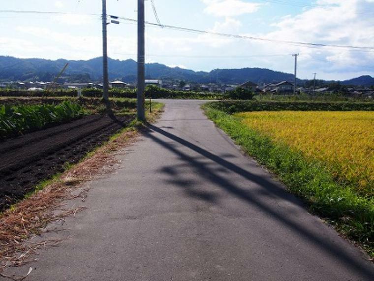 現況写真 南側　前面道路（東側から撮影）